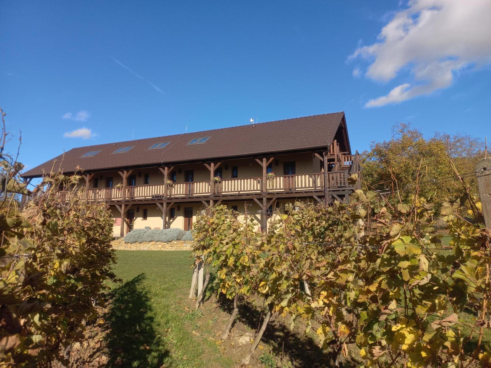 Penzion Ve Vinohrade Němčičky Bagian luar foto